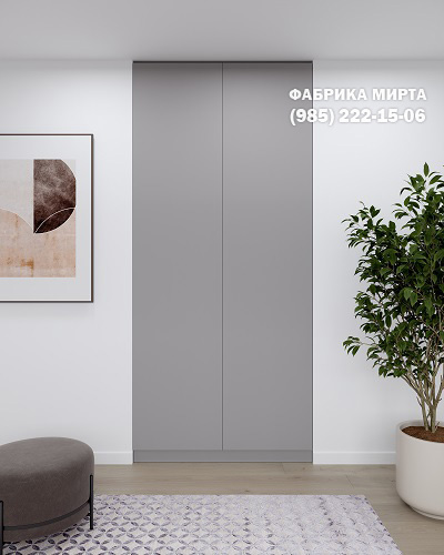 Встроенный шкаф-купе на заказ